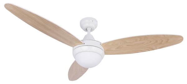 Globo 03612 - Stropní ventilátor CORDULA 2xE14/40W/230V + ovládání
