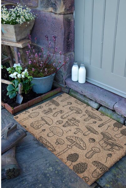 Rohožka z kokosového vlákna 40x60 cm Mushrooms – Artsy Doormats