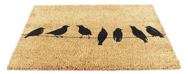 Rohožka z kokosového vlákna 40x60 cm Birds On a Wire – Artsy Doormats