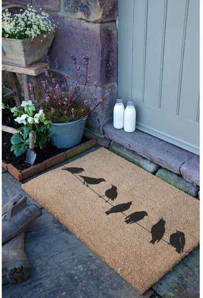 Rohožka z kokosového vlákna 40x60 cm Birds On a Wire – Artsy Doormats