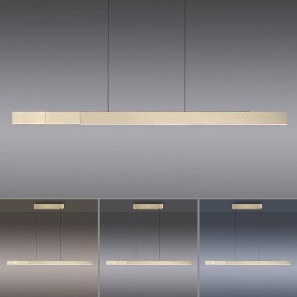 Paul Neuhaus LED závěsné svítidlo PURE-MOTO-RISE elektricky nastavitelná výška dotykový vypínač 2700-5000K zlatá imperial, d.200cm
