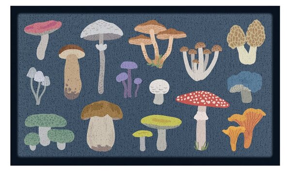 Rohožka 40x70 cm Mixed Wild Mushroom – Artsy Doormats
