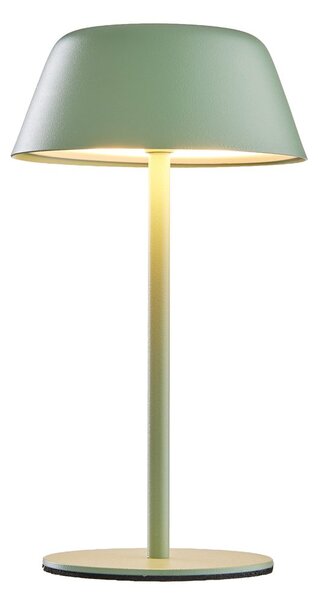 LIGHT UP LED Stolní lampa - šalvějová