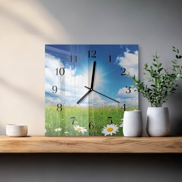 Skleněné hodiny na stěnu Luční květiny zskc-30x30-00171564
