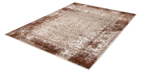 Hnědý koberec 80x150 cm Terno Brown – FD