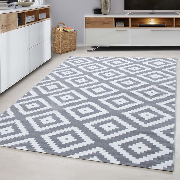 Světle šedý koberec 160x230 cm Plus – Ayyildiz Carpets