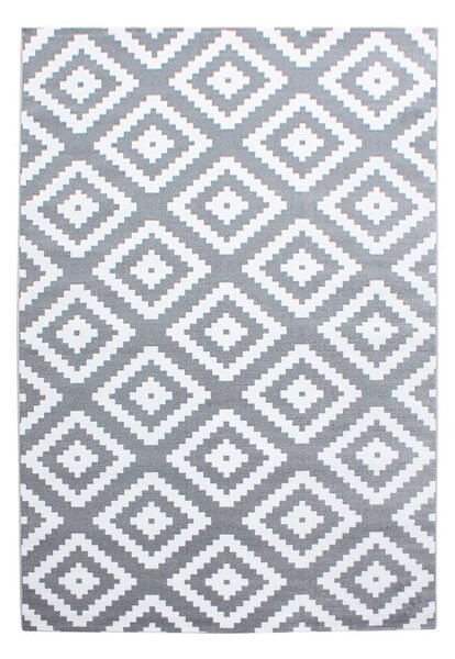 Světle šedý koberec 160x230 cm Plus – Ayyildiz Carpets