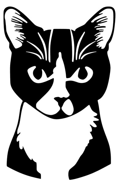 ASIR Nástěnná dekorace kovová CAT