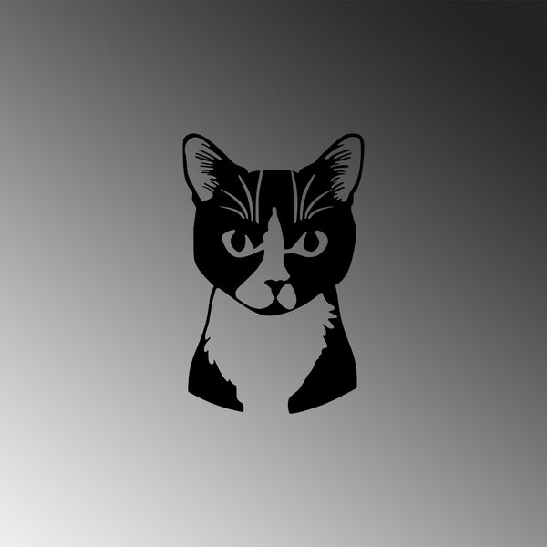 ASIR Nástěnná dekorace kovová CAT