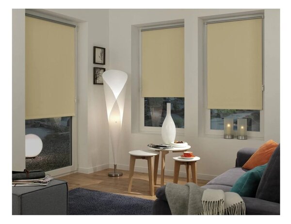 Roleta v přírodní barvě 42,5x150 cm Mini Termo – Gardinia