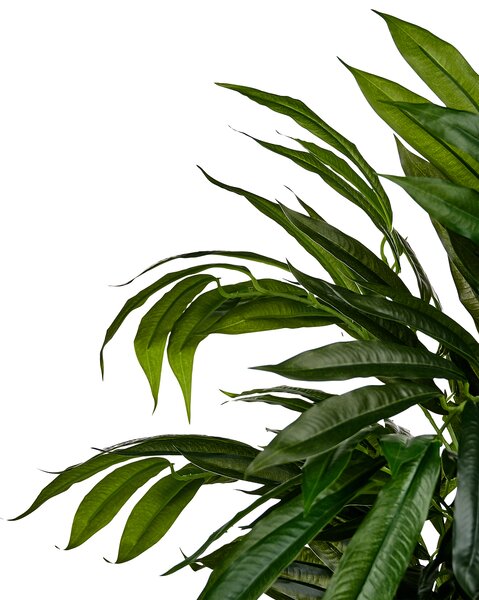 Umělá rostlina LONGIFOLIA 155 cm Zelená