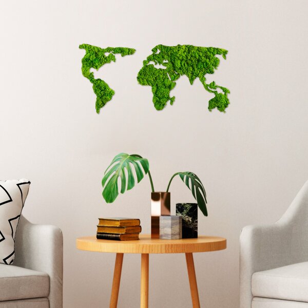 ASIR Nástěnná dekorace mechová WORLD MAP zelená