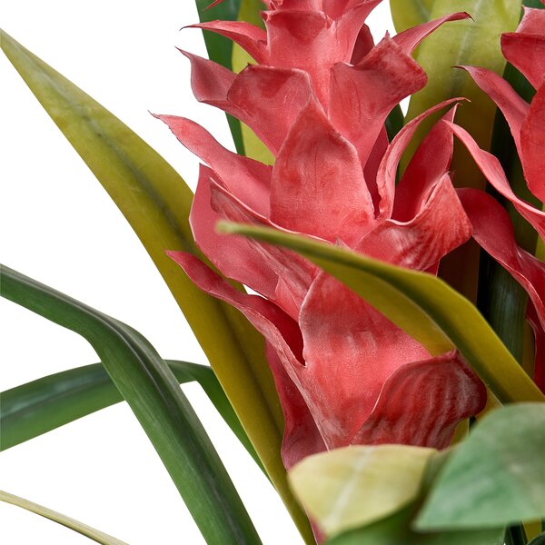 Umělá rostlina GUZMANIA ATILLA 50 cm Zelená