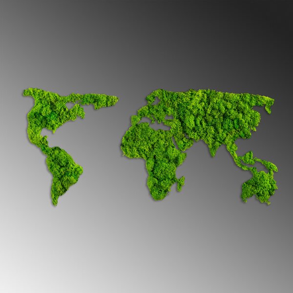 ASIR Nástěnná dekorace mechová WORLD MAP zelená