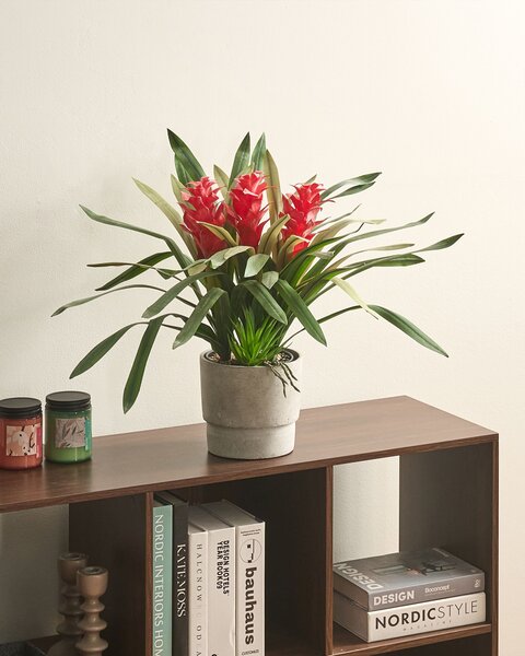 Umělá rostlina GUZMANIA ATILLA 50 cm Zelená
