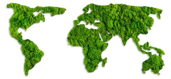 ASIR Nástěnná dekorace mechová WORLD MAP zelená
