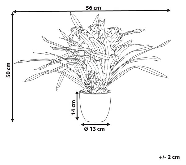 Umělá rostlina GUZMANIA ATILLA 50 cm Zelená