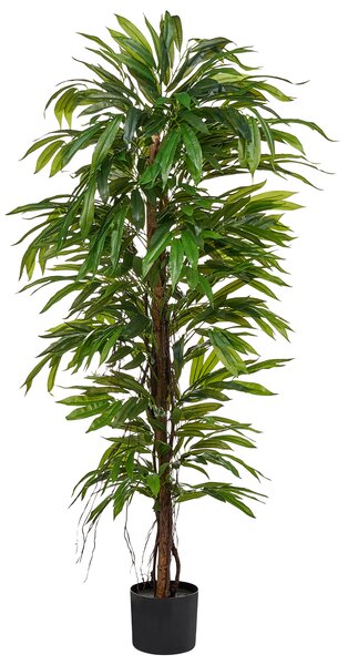 Umělá rostlina LONGIFOLIA 155 cm Zelená