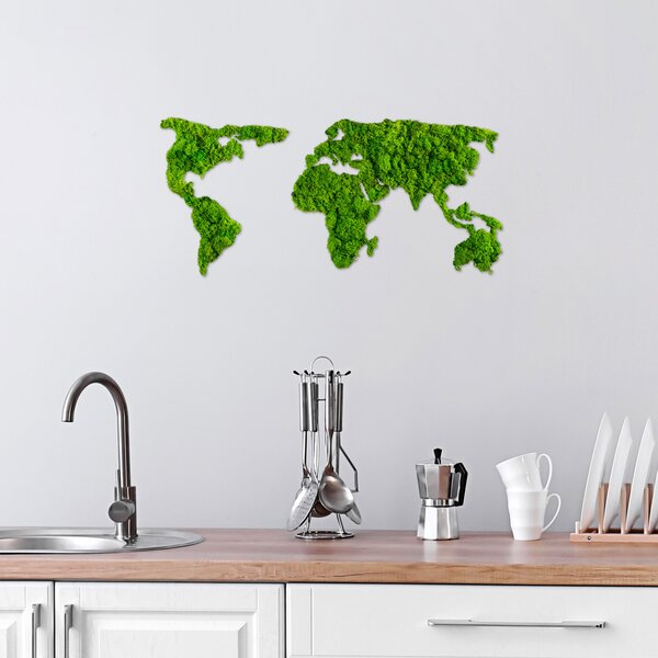 ASIR Nástěnná dekorace mechová WORLD MAP zelená