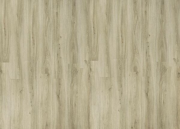 Breno Vinylová podlaha MODULEO TRANSFORM Classic Oak 24234