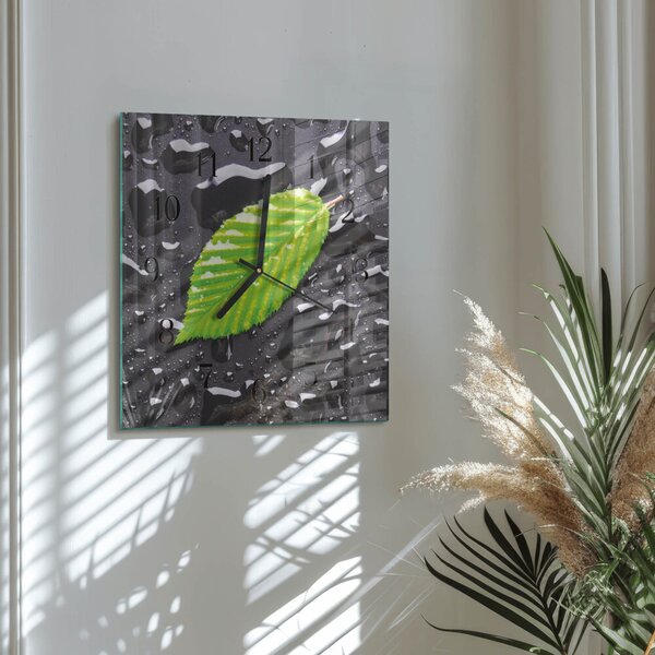 Skleněné hodiny na stěnu List zskc-30x30-00172137