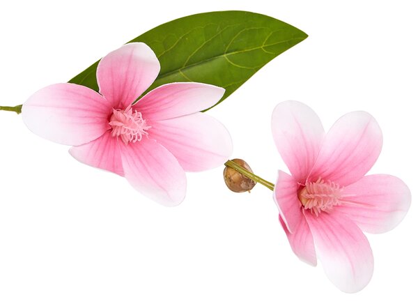 Umělá rostlina MAGNOLIA TREE 128 cm Zelená