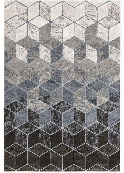 Breno Kusový koberec ARGENTUM 63488, 120x170 cm, Vícebarevné