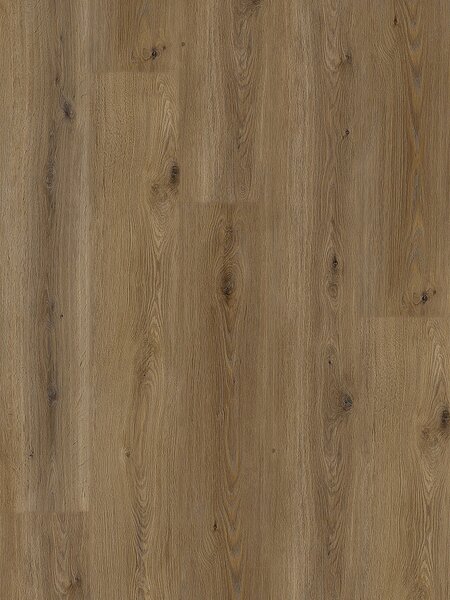 EXPERTO LVT 55 Dub adax 8196L-009 - 4.18 m2