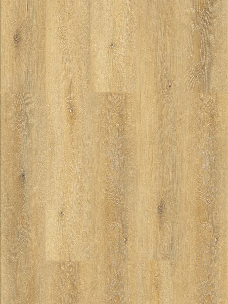 EXPERTO LVT 30 Dub issa 887112-2 - 4.49 m2