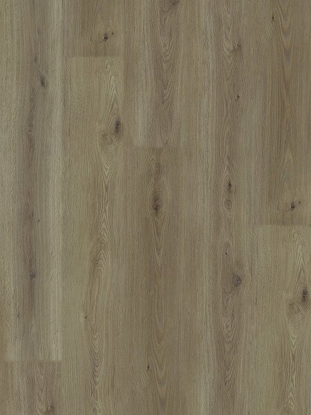 EXPERTO LVT 55 Dub mirra 8196L-003 - 4.18 m2