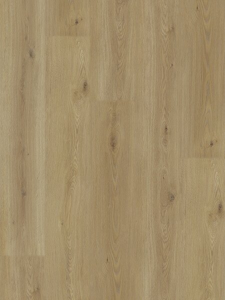 EXPERTO LVT 55 Dub citi 8196L-005 - 4.18 m2