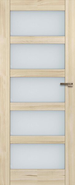 Interiérové dveře vasco doors BRAGA model 6 Průchozí rozměr: 70 x 197 cm