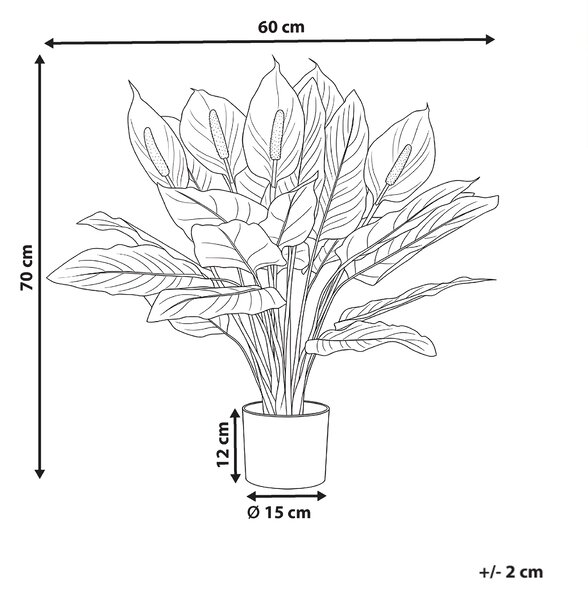 Umělá rostlina SPATHPHYLLUM 70 cm Zelená