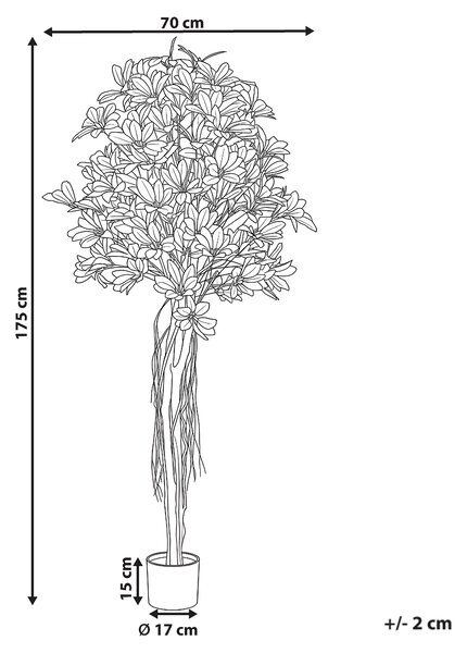 Umělá rostlina UMBRELLA TREE 175 cm Zelená
