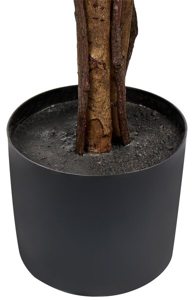 Umělá rostlina UMBRELLA TREE 175 cm Zelená