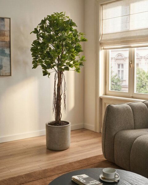 Umělá rostlina UMBRELLA TREE 175 cm Zelená