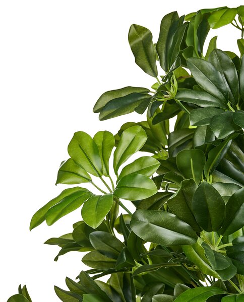 Umělá rostlina UMBRELLA TREE 175 cm Zelená