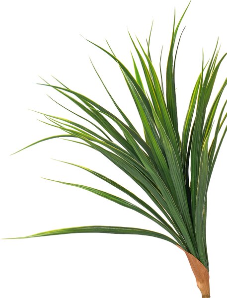 Umělá rostlina DRACAENA DRACO 165 cm Zelená