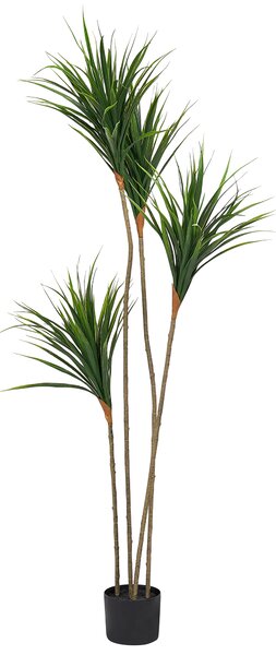 Umělá rostlina DRACAENA DRACO 165 cm Zelená