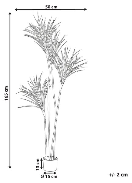 Umělá rostlina DRACAENA DRACO 165 cm Zelená