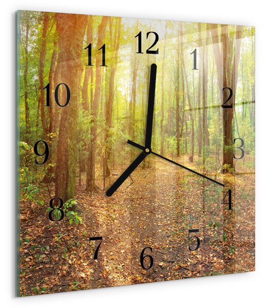 Skleněné hodiny na stěnu Lesní cesta zskc-30x30-00172501