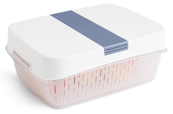 Rotho Speciální box na ovoce a zeleninu, s ventilací a filtrem, do lednice, Fridge Fresh, 6,4l - modrý