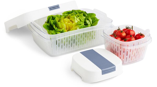 Rotho Speciální box na ovoce a zeleninu, s ventilací a filtrem, do lednice, Fridge Fresh,1,6l modrý