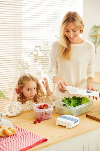 Rotho Speciální box na ovoce a zeleninu, s ventilací a filtrem, do lednice, Fridge Fresh, 6,4l - modrý