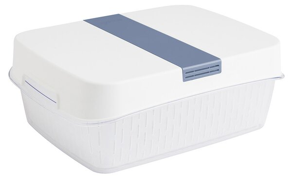 Rotho Speciální box na ovoce a zeleninu, s ventilací a filtrem, do lednice, Fridge Fresh, 6,4l - modrý