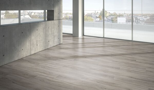 PARADOR Basic 5.3 SPC Dub pastelově šedý kartáčovaná struktura 1743005 - 2.18 m2