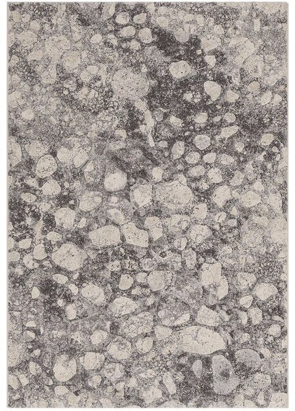 Breno Kusový koberec ARGENTUM 63579, 240x330 cm, Béžová/Vícebarevné