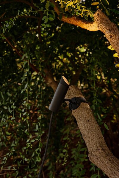 CLAP lampa s držákem na strom, černá 6W 3000K 38st. - FARO