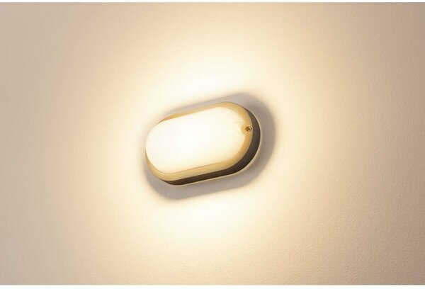 BIG WHITE SLV TERANG 2, venkovní nástěnné a stropní svítidlo, LED, 3000K, IP44, oválné, antracit, 11 W 229935