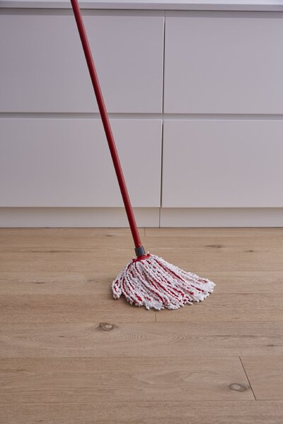 Vileda Microfibre and Power mop 160474